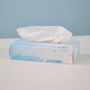 Facial Tissue Box 100%VIRGIN WOOD PULP 2-PLY  100pcs/BOX
